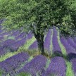tn_naturaleza-silvestre-1.jpg